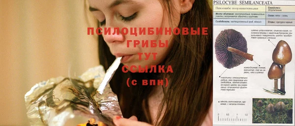 Альфа ПВП Абдулино
