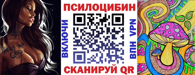 Псилоцибиновые грибы Psilocybine cubensis  Тюмень 