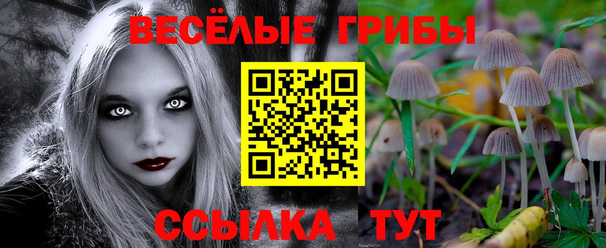 Псилоцибиновые грибы прущие грибы Тюмень
