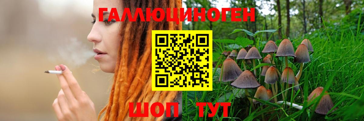 Тюмень  Псилоцибиновые грибы Psilocybe  Галлюциногенные грибы мицелий  Вход с VPN 