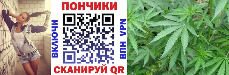 Каннабис сатива  Тюмень 